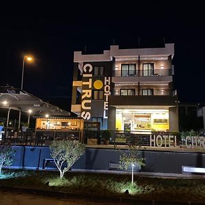 Hotel Citrus